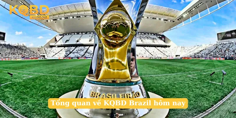 Tổng quan về KQBD Brazil hôm nay