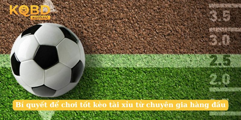 Bí quyết để chơi tốt kèo tài xỉu từ chuyên gia hàng đầu