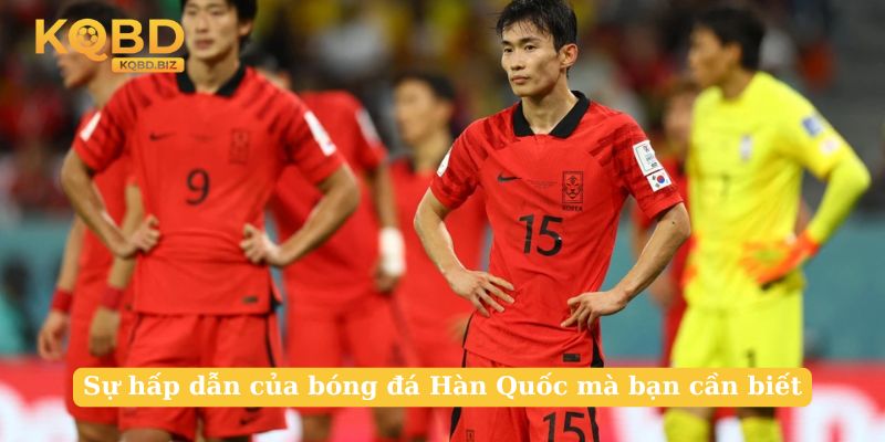 Sự hấp dẫn của bóng đá Hàn Quốc mà bạn cần biết