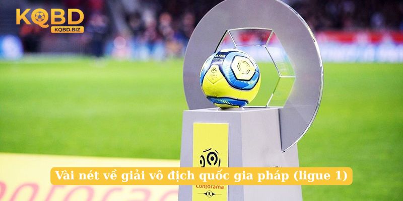 Vài nét về giải vô địch quốc gia pháp (ligue 1)