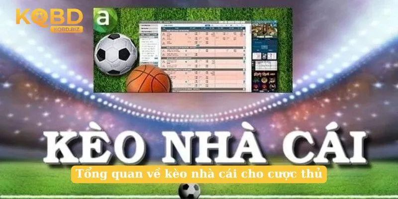 Tổng quan về kèo nhà cái cho cược thủ